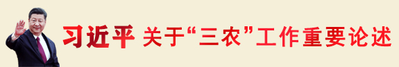 習近平關(guān)于“三農”工作重要論述